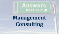 Management Consulting 